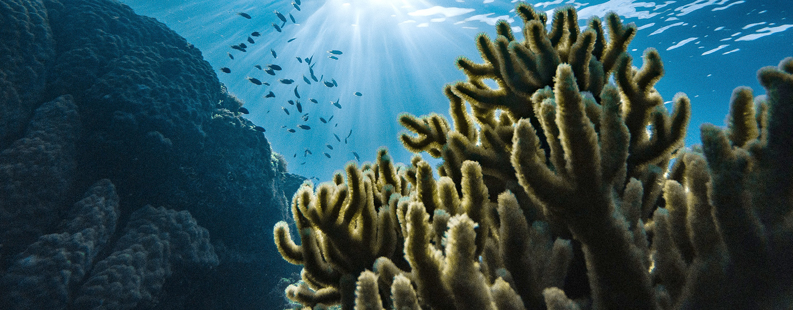 J9集团中水回用、陶瓷膜、石墨烯膜、黑金膜公家号，迎接您扫码关注！